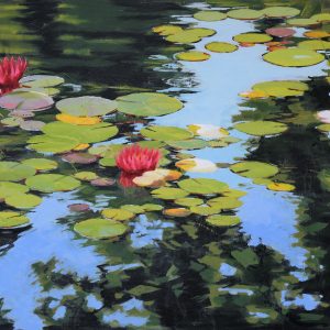 Egyptian Lotus